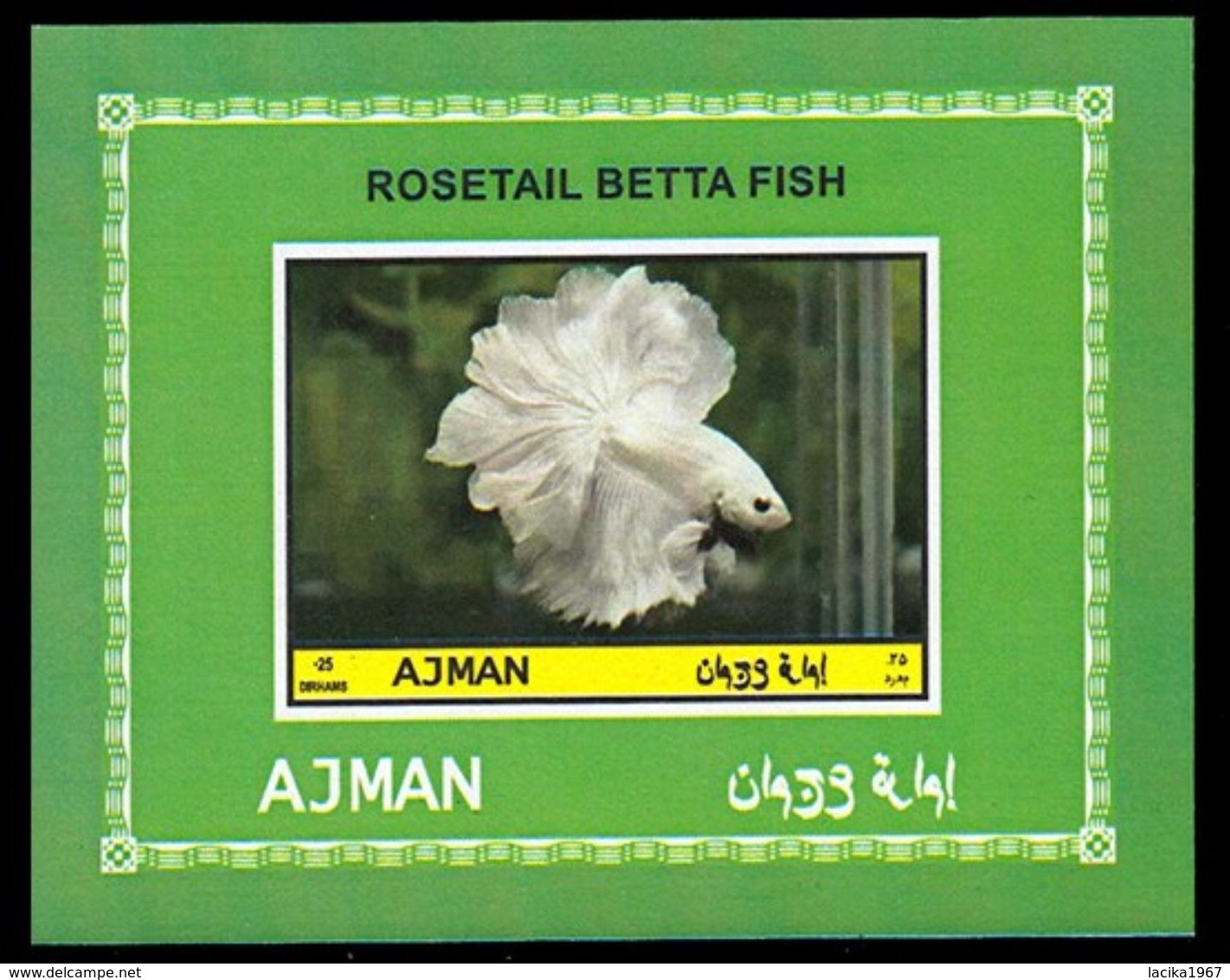 Fish, Betta splendens, Ajman