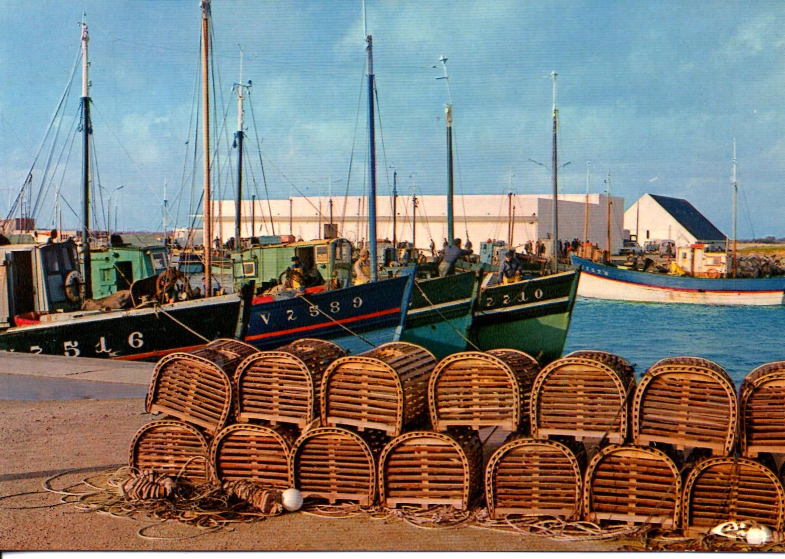 Carte , Lesconil , Le Port Vue Sur La Criée - Autres & Non Classés