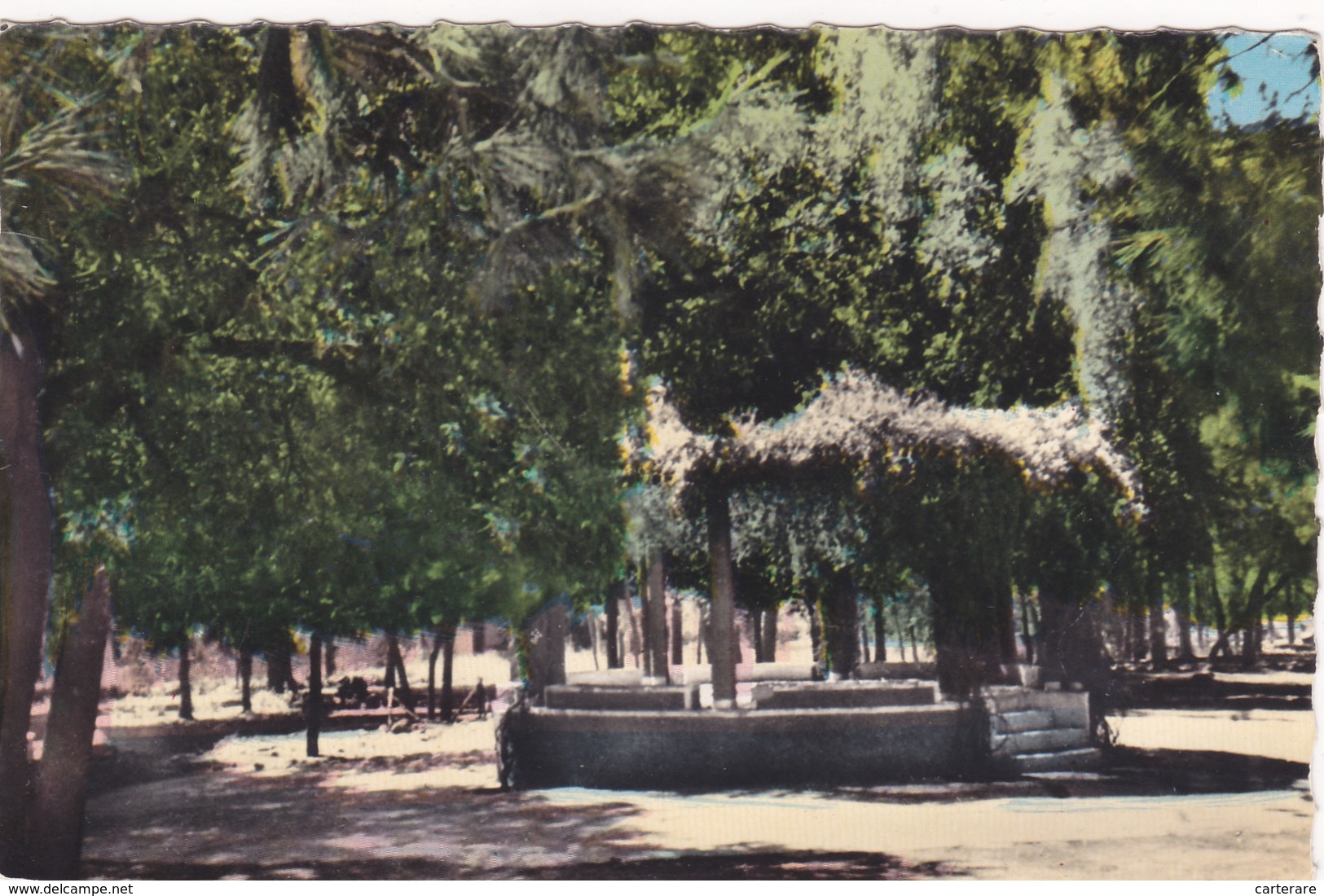 Algérie,ORAN,wilaya De LAGHOUAT,daira,villa La Plus Haute D'algérie,jardin Public En 1959,rare,afrique,aflou - Oran