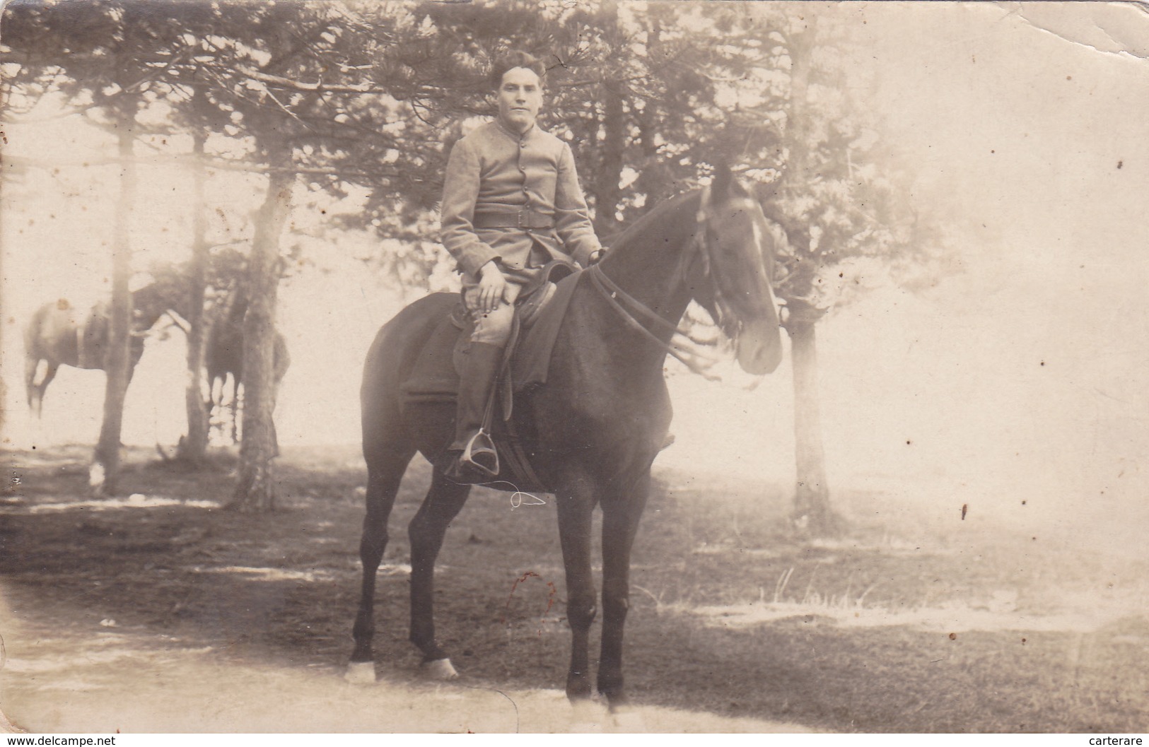 Carte Photo,76,LE PETIT QUEVILLY,MILITAIRE,MILITARIA,MILITARY,CAVALIER,SOLDAT A CHEVAL,jockey,1914 - Le Petit-Quevilly