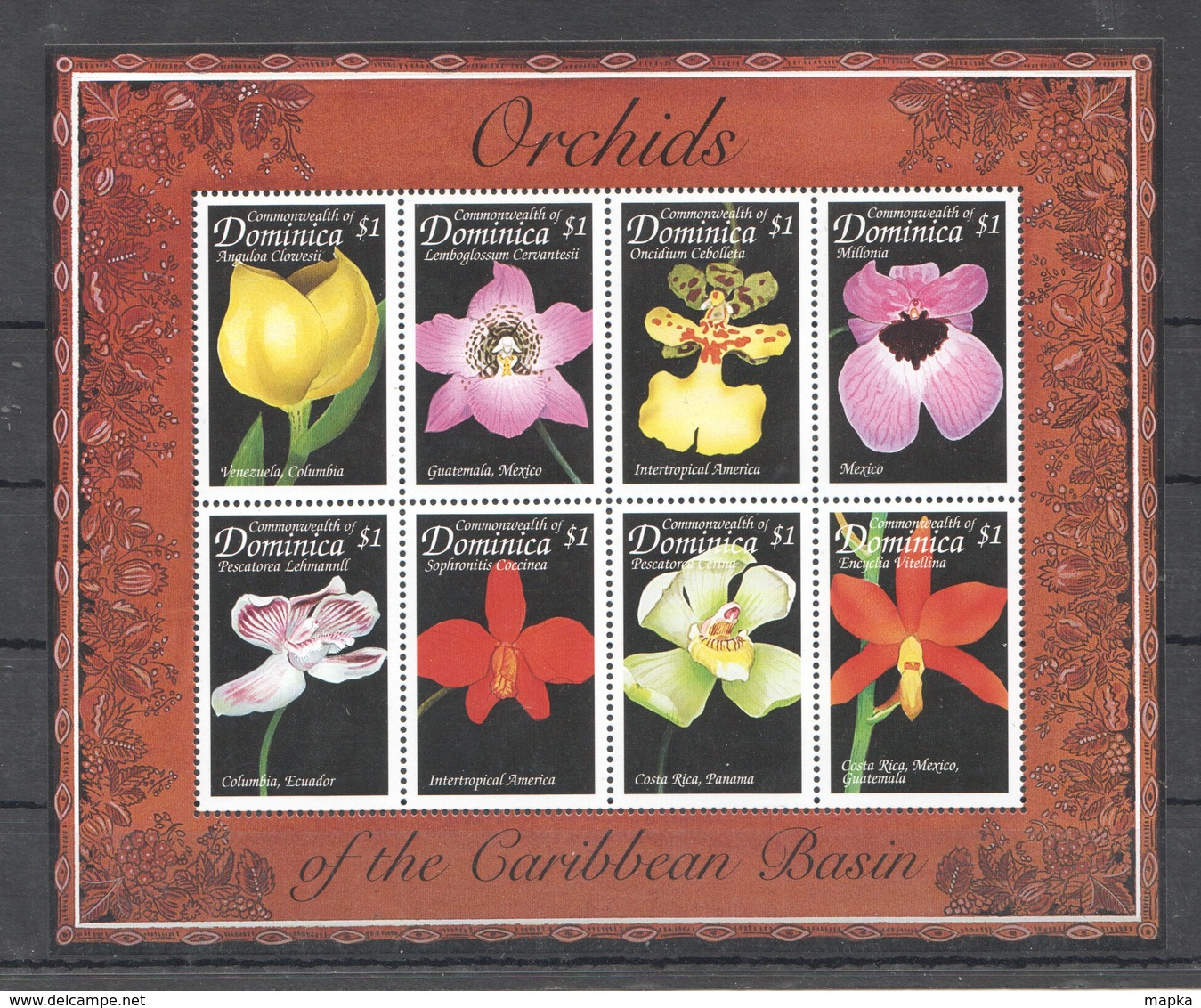 A918 DOMINICA FLORA NATURE FLOWERS ORCHIDS OF THE CARIBBEAN BASIN 1KB MNH - Orchideen