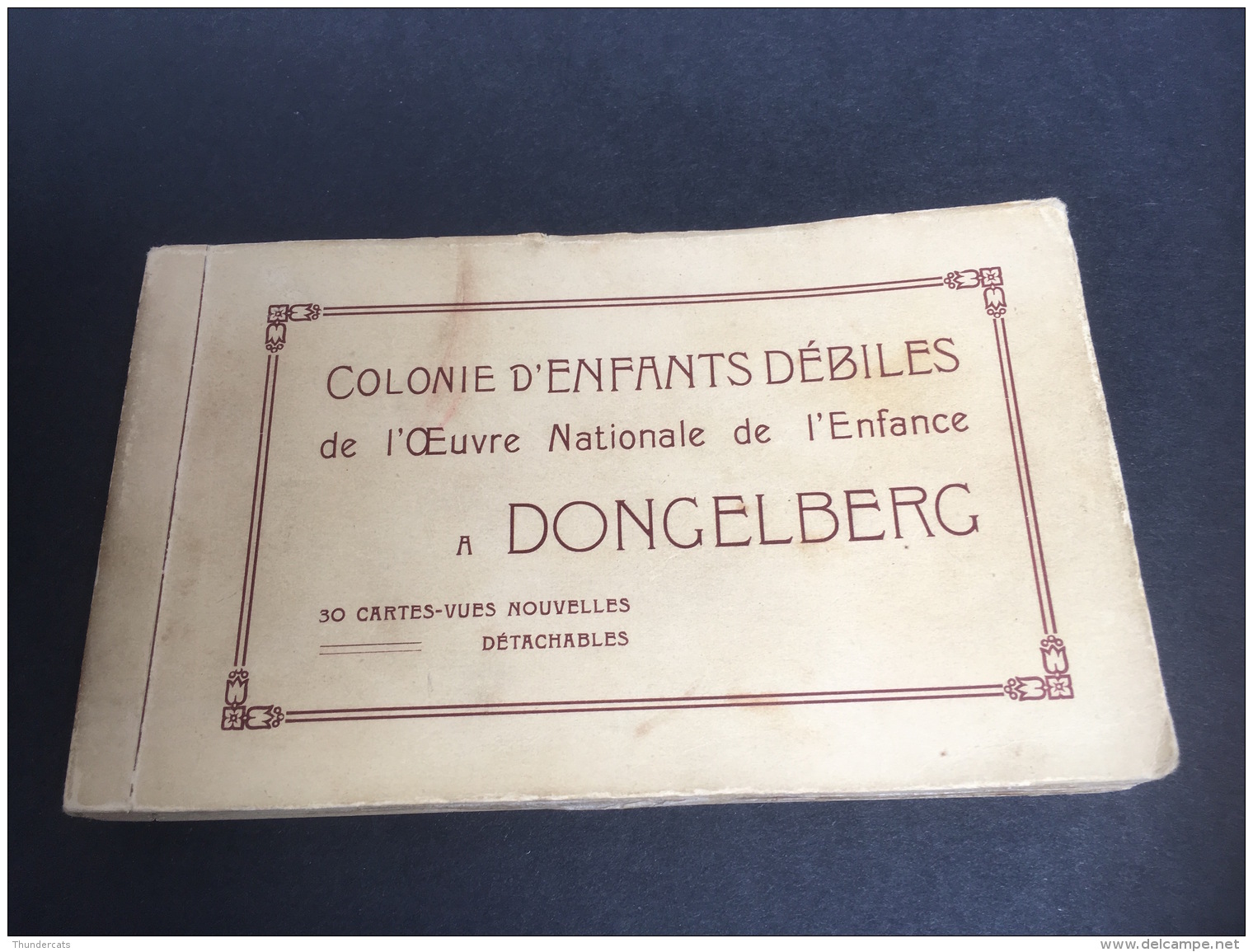 CARNET COMPLET 30 CPA COLONIE D'ENFANTS DEBILES DE L'OEUVRE NATIONALE DE L'ENFANCE A DONGELBERG - Jodoigne