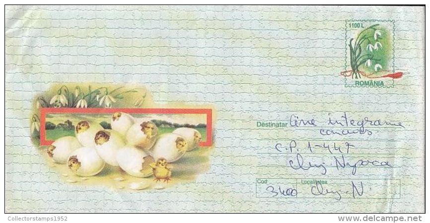 D6612- SNOWDROPS, EGGS, CHICKS, SPRING CELEBRATION, COVER STATIONERY, 1999, ROMANIA - Other & Unclassified