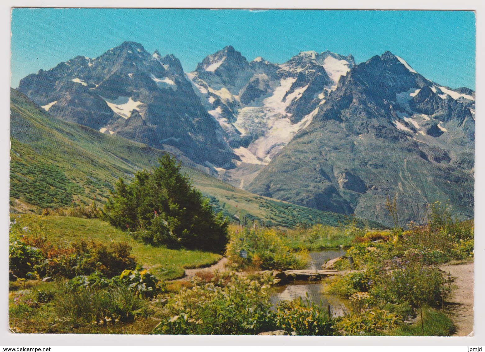 05 - Col Du Lautaret - Le Pic Gaspard Et La Meije Vus Du Jardin Alpin - éd. ALPAZUR N° 557 - 1975 - Other & Unclassified