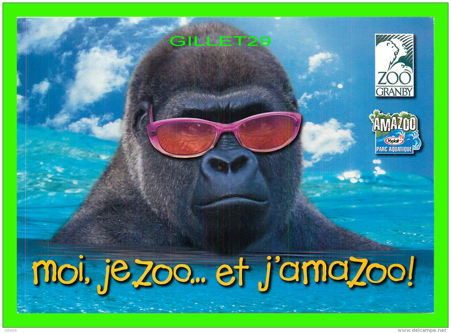 GRANBY, QUÉBEC - ZOO DE GRANBY - MOI, JE ZOO ET J'AMAZOO ! -  GORILLE - ZOOM CARDS - - Granby