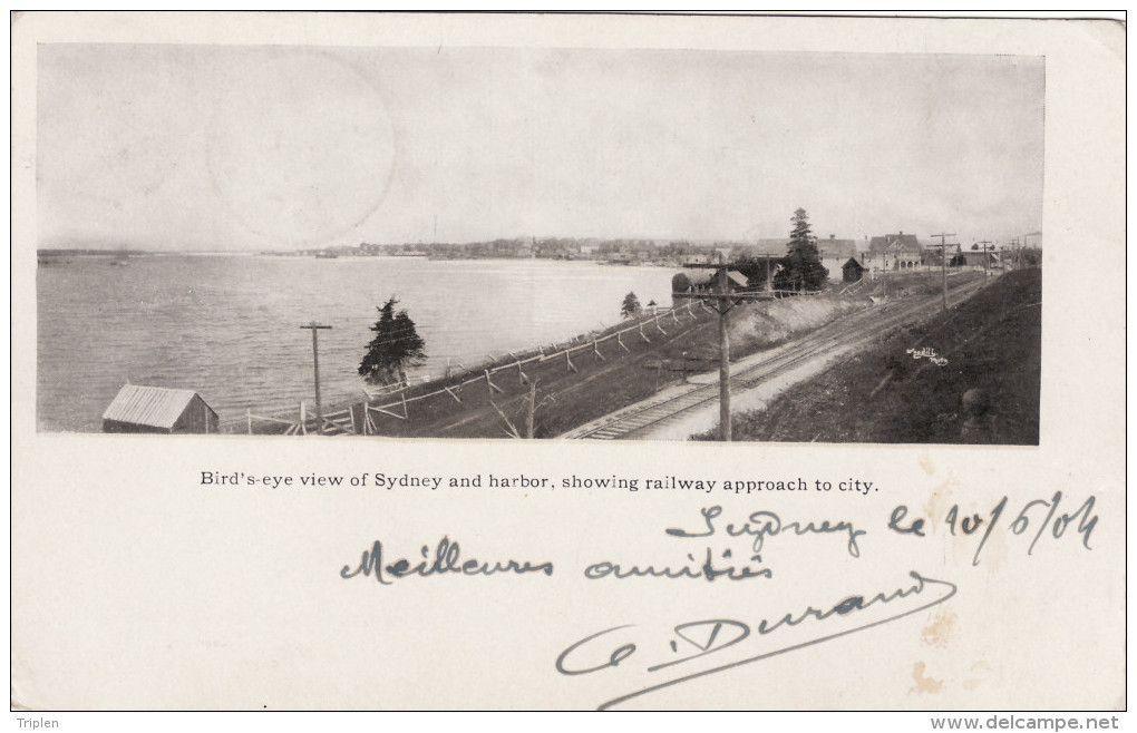 Bird's-eye View Of Sydney And Harbor, Showing Railway Approach To City - Autres & Non Classés