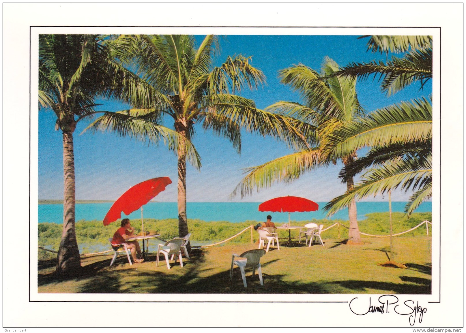 Sun Umbrellas And Palms At Broome, Western Australia 1988 Unused - Broome