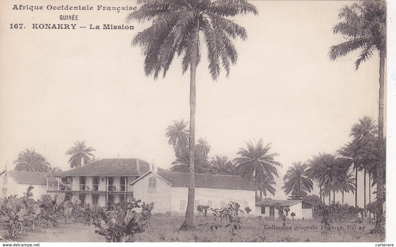 AFRIQUE,AFRICA,AFRIKA,guinée  Française,CONAKRY,colonie ,cédée Parles Anglais Aux Français En1891,la Mission,palmier - Guinée Française