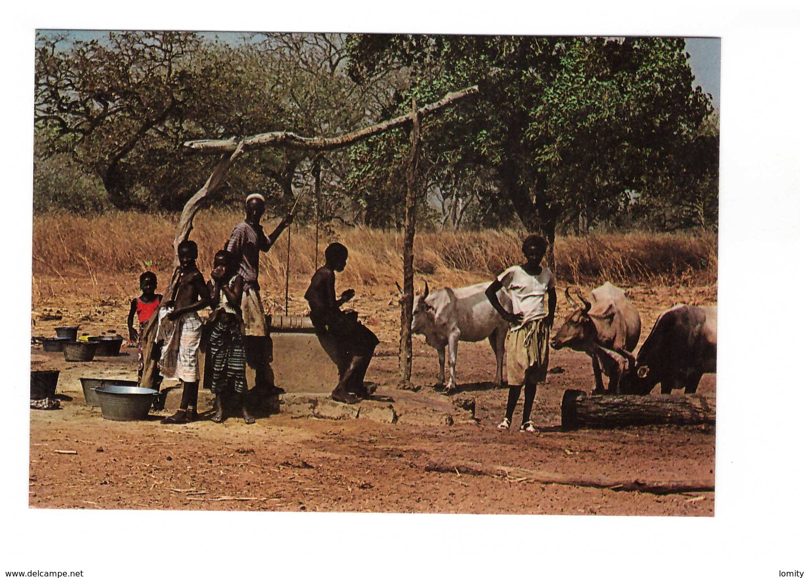 Gambie Gambia Afrique At Village Well Puit Puits - Gambie