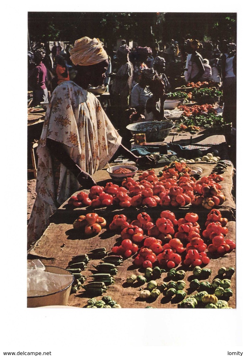 Gambie Gambia Afrique At The Market Marché Marchande Légume Légumes Fruit Fruits - Gambie