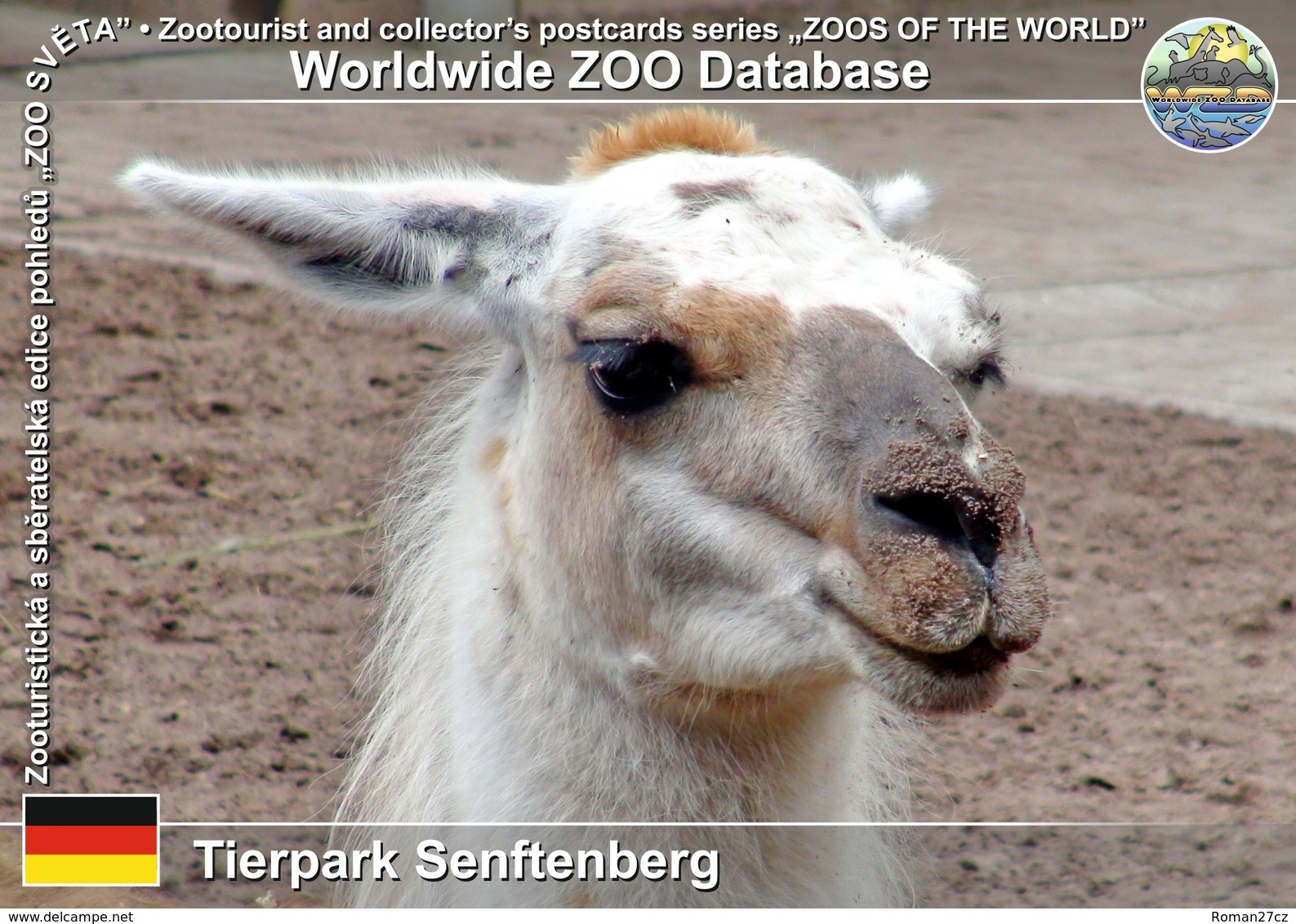 073 Tierpark Senftenberg, DE - Lama (Lama Guanicoe F. Glama) - Senftenberg