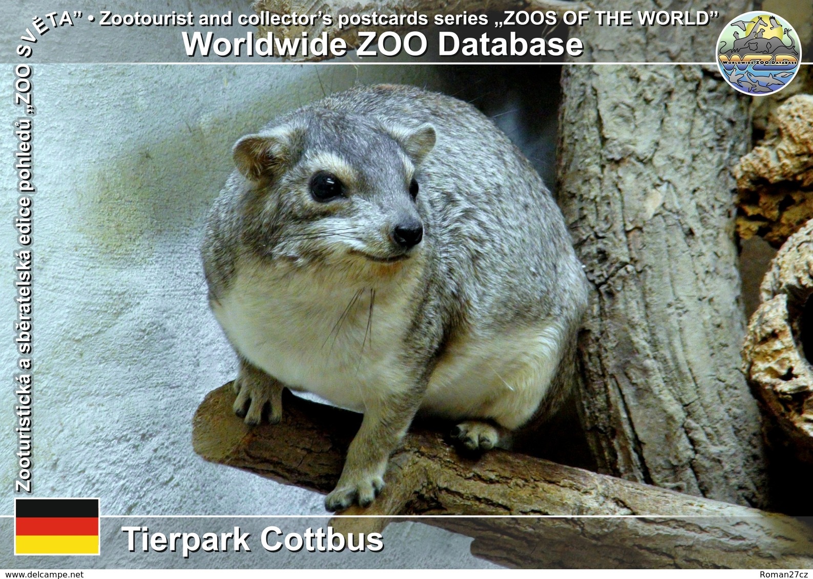 075 Tierpark Cottbus, DE - Small-toothed Rock Hyrax (Heterohyrax Brucei) - Cottbus