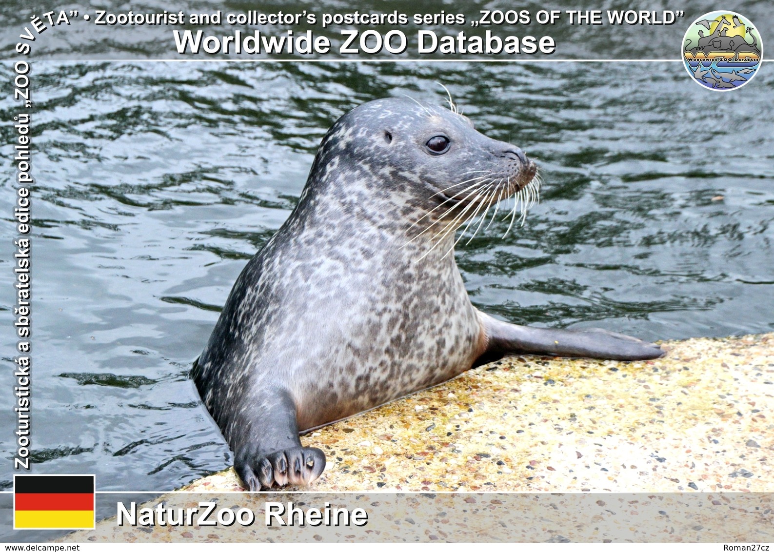 221 NaturZoo Rheine, DE - Common Seal (Phoca Vitulina Vitulina) - Rheine