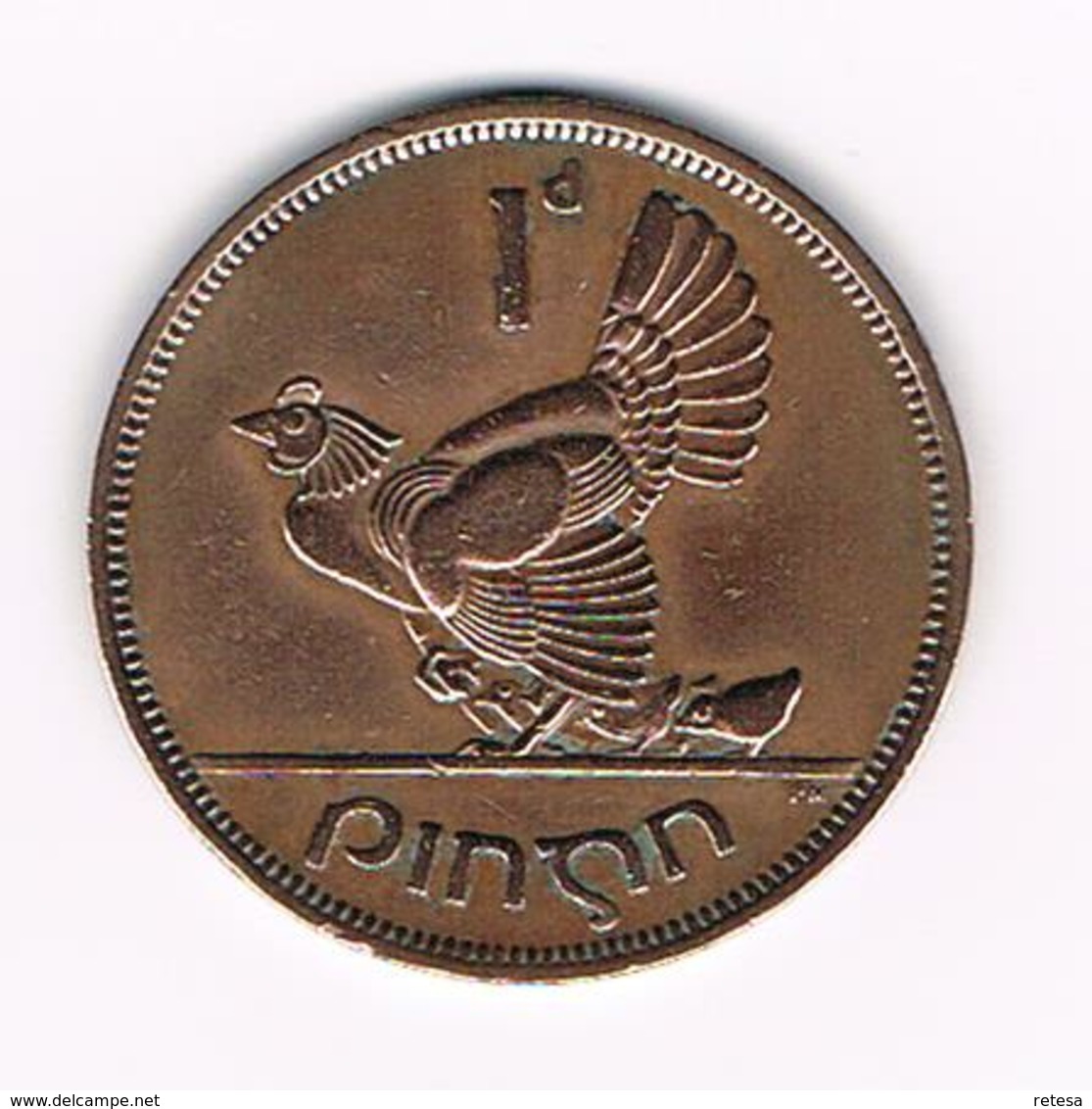 &   IERLAND  1 PENNY  1949 - Irlande