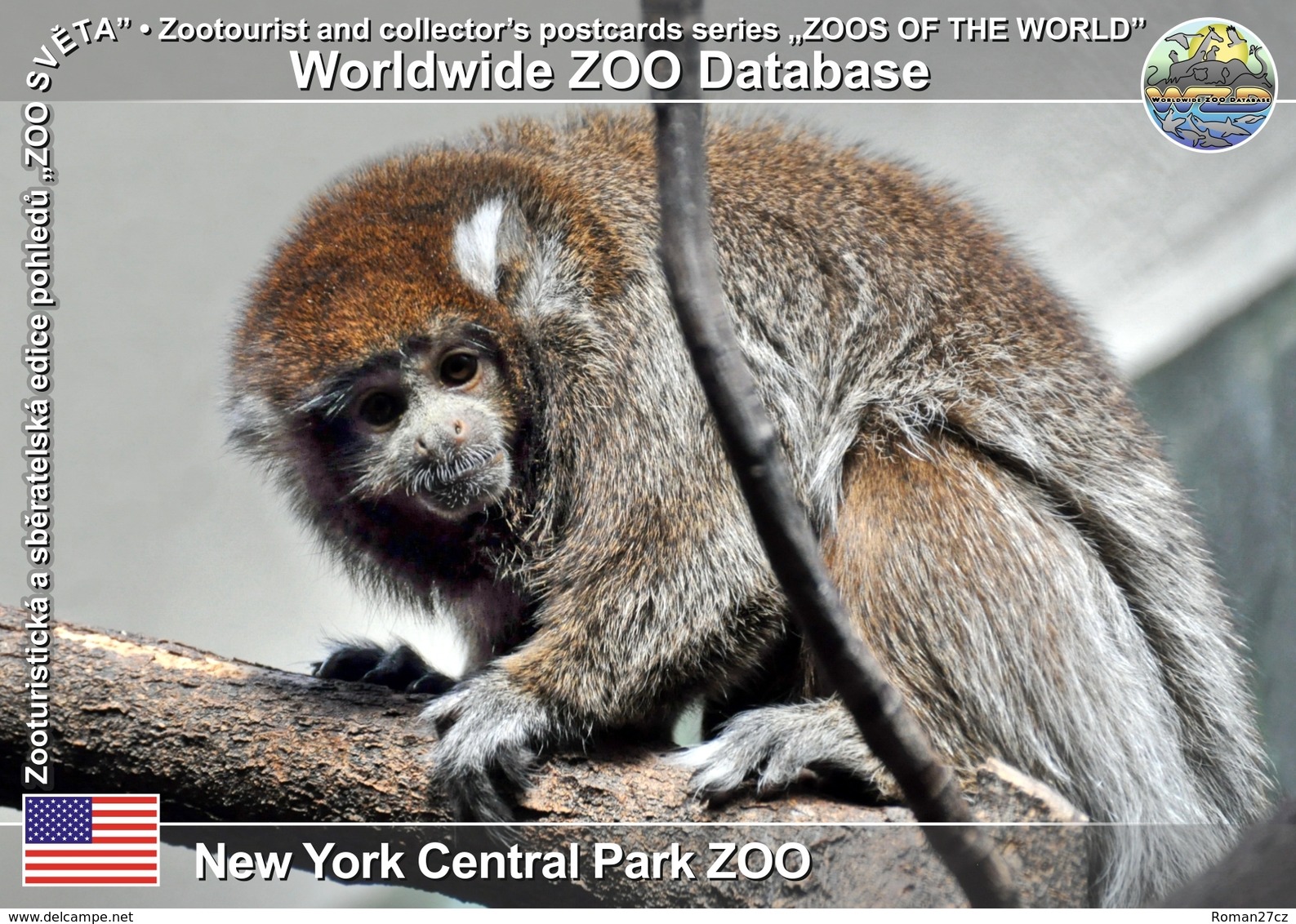 268 New York Central Park ZOO, US - Bolivian Titi (Callicebus Donacophilus) - Central Park