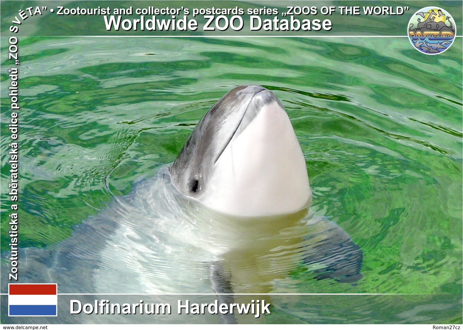 434 Dolfinarium Harderwijk‎, NL - Harbor Porpoise (Phocoena Phocoena) - Harderwijk