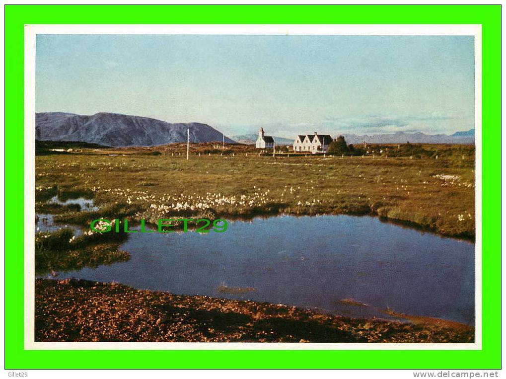 PINGVELLIR, ICELAND - ANCIENT SITE OF THE ALPING AND TODAY NATIONAL PARK OF ICELAND - - Islande