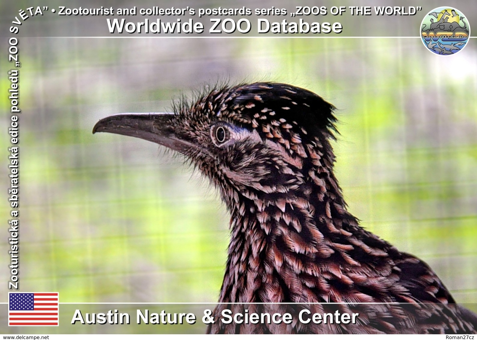 495 Austin Nature & Science Center, US - Greater Roadrunner (Geococcyx Californianus) - Austin