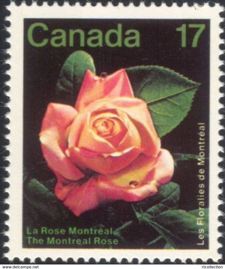Canada 1980 - One International Flower Show Montreal Flowers Plants Flora Nature Rose Roses Stamp MNH SG#1019 SC 896 - Unused Stamps