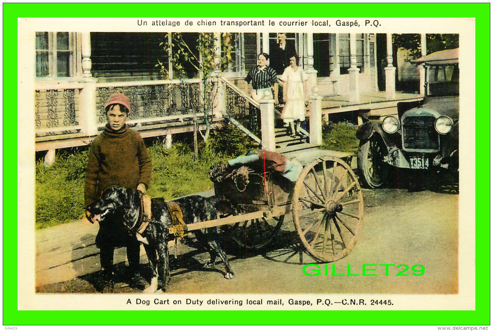 AGRICULTURE, ATTELAGES DE CHIEN - A DOG CART ON DUTY DELIVERING LOCAL MAIL, GASPÉ, QUEBEC - C.N.R. - H. V. HENDERSON - - Attelages