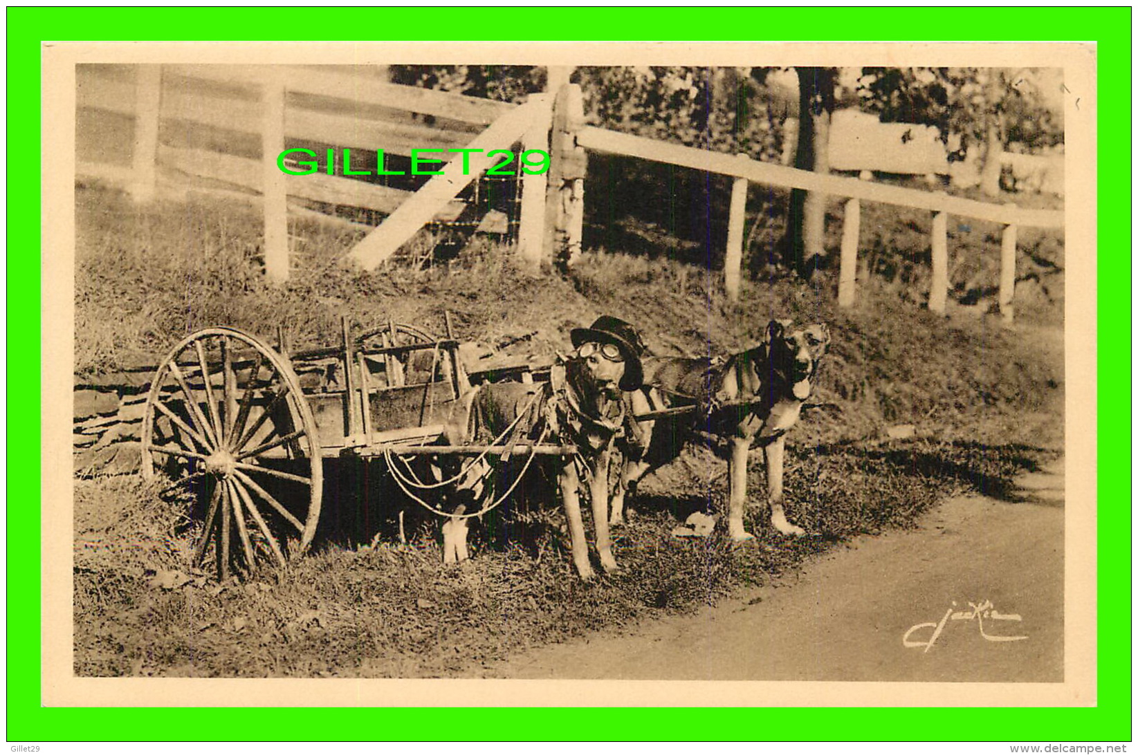 AGRICULTURE, ATTELAGES DE CHIEN - CHIENS AVEC LUNETTE &amp; CHAPEAU - SUR LA ROUTE DE SAINTE-ANNE DE BEAUPRÉ - ÉDIT. D'A - Attelages