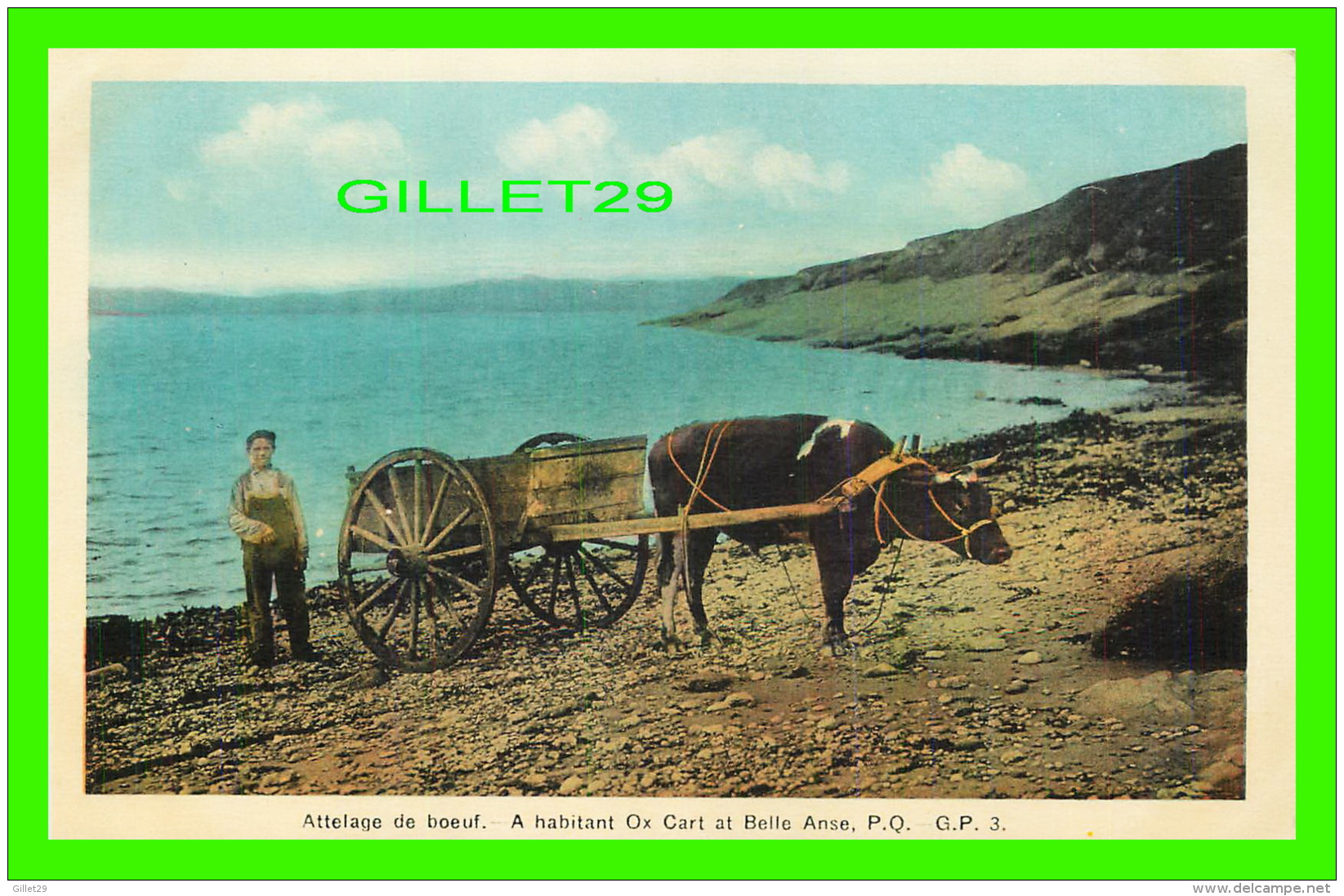 AGRICULTURE, ATTELAGES DE BOEUF - A HABITANT OX CART AT BELLE ANSE, QUÉBEC - G. P. -  H. V. HENDERSON - - Attelages