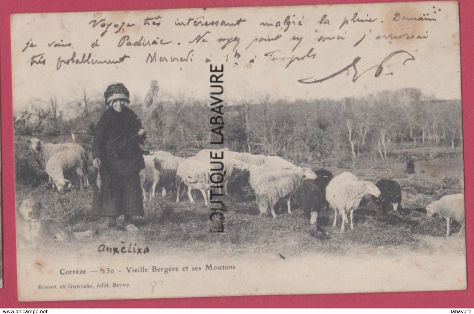 CORREZE---Vieille Bergere Et Se Moutons---précurseur - Autres & Non Classés