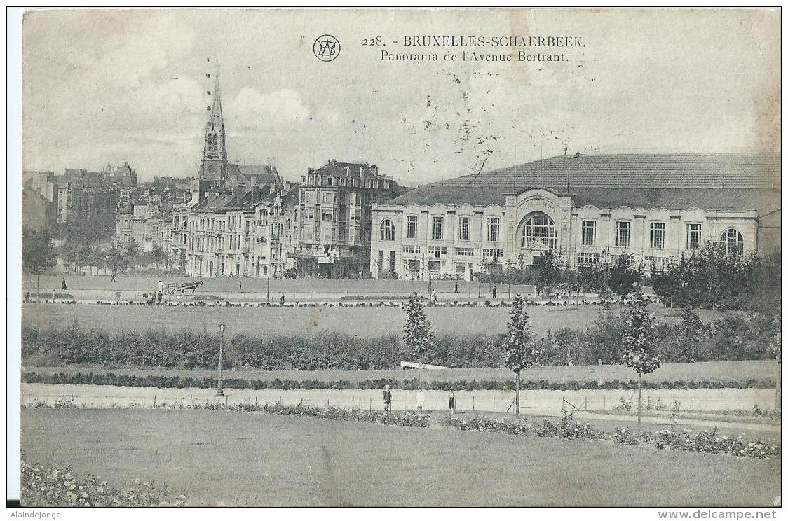 Bruxelles - Brussel - Schaerbeek - 228 - Panorama De L'Avenue Bertrant - Cliché F. Walschaerts - 1921 - Schaarbeek - Schaerbeek