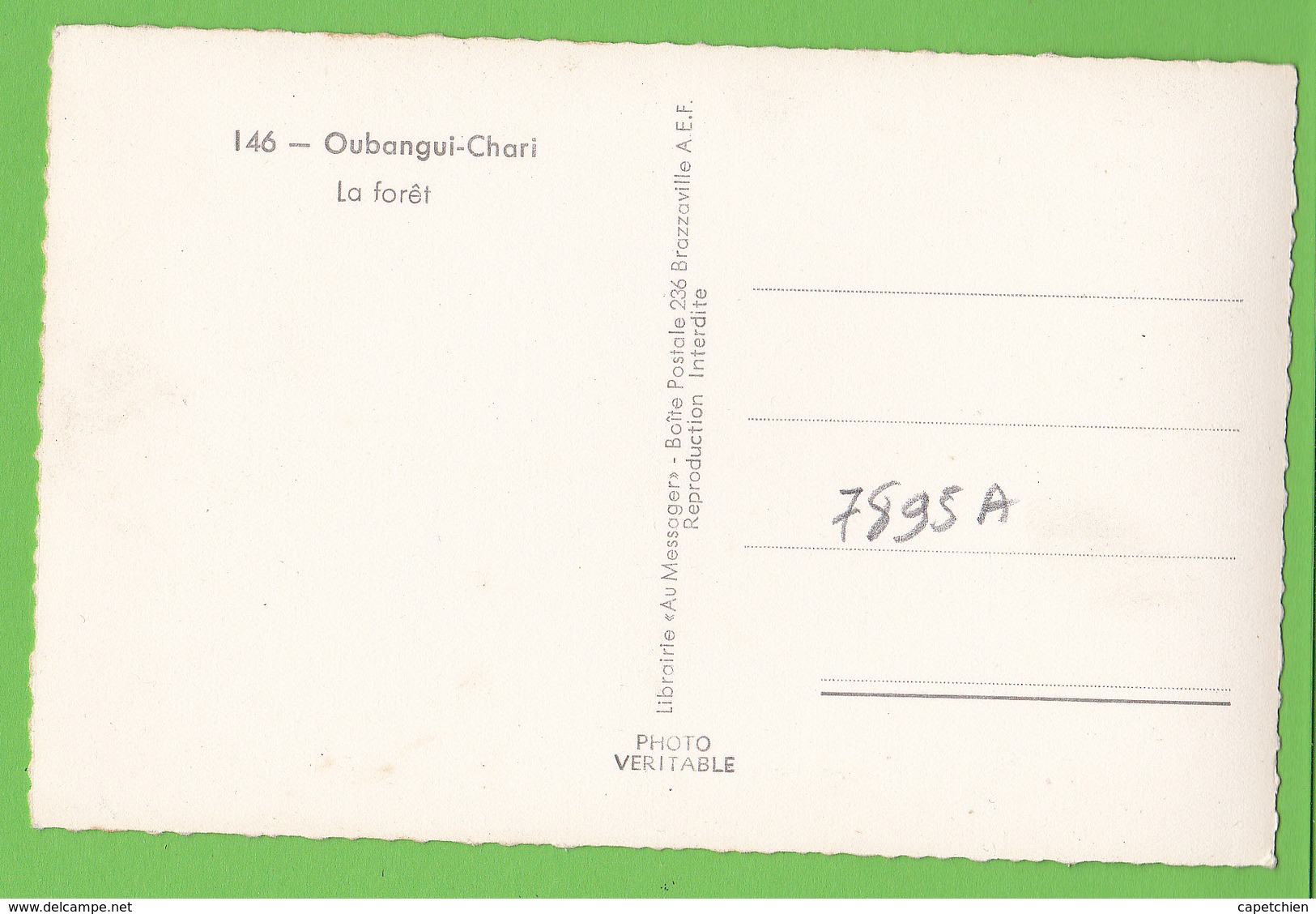 OUBANGUI-CHARI / R.C.A. CENTRAFRIQUE / LA FORET .....Carte Vierge / HOA GUI N° 146 - Centrafricaine (République)