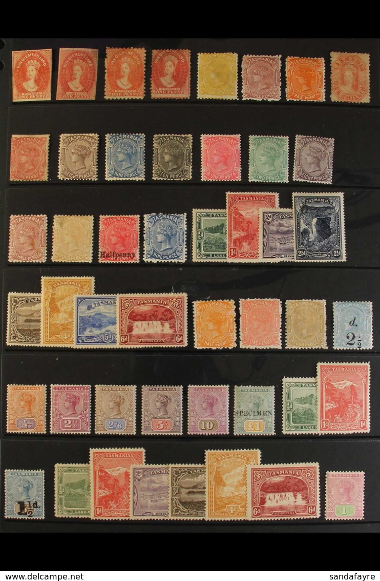 TASMANIA MINT STAMPS. A Rather Fresh And Attractive Assortment Of Mint Stamps Removed From Several Old Album Pages But N - Sonstige & Ohne Zuordnung