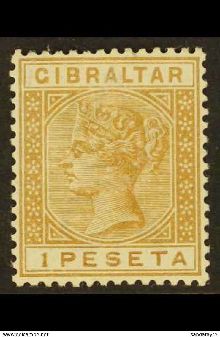 1889 1p Bistre, SG 30, Very Fine Mint.  For More Images, Please Visit Http://www.sandafayre.com/itemdetails.aspx?s=61534 - Gibraltar