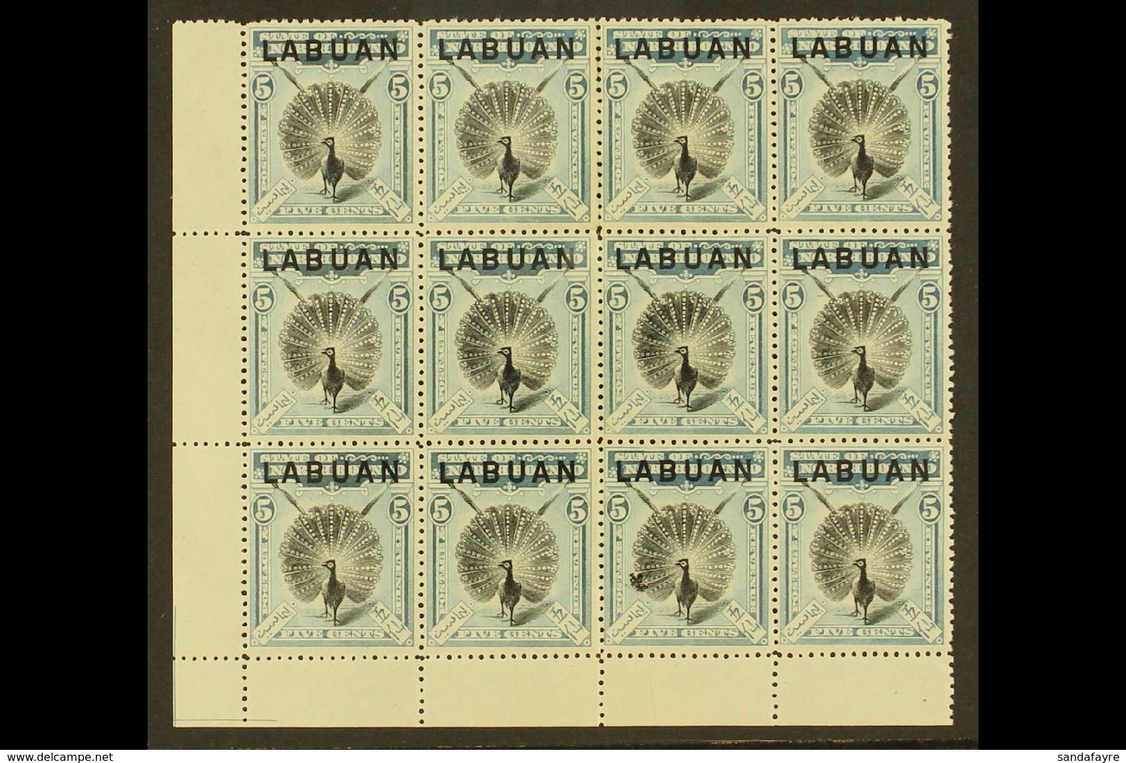 1900-02 5c Black And Pale Blue Pheasant, SG 114, A Spectacular BLOCK OF TWELVE (4 X 3) From Bottom Left Corner, Fresh Ne - Borneo Del Nord (...-1963)