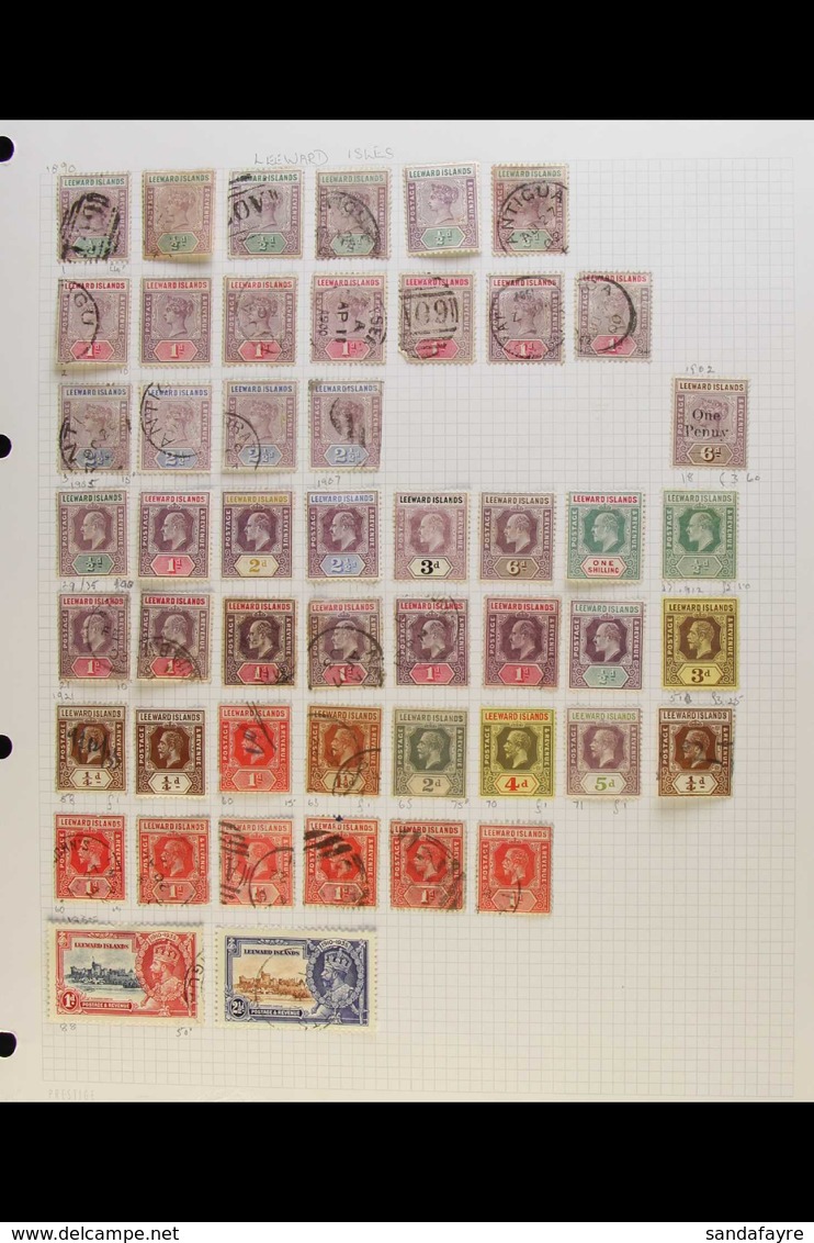 1890-1954 MINT & USED COLLECTION. A Useful Range, Often Lightly Duplicated That Includes A Small QV Range, KEVII To 1s M - Leeward  Islands