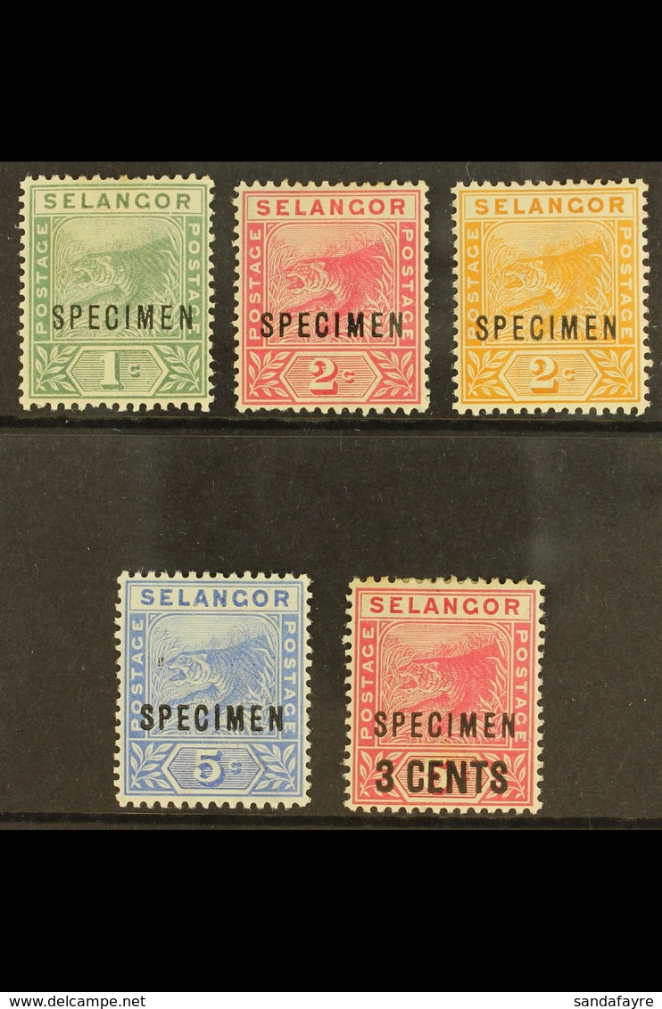 SELANGOR 1891 - 4 Tigers Set Plus 3c Overprint Overprinted "Specimen", SG 49s/53s, Very Fine Mint. (5 Stamps) For More I - Autres & Non Classés