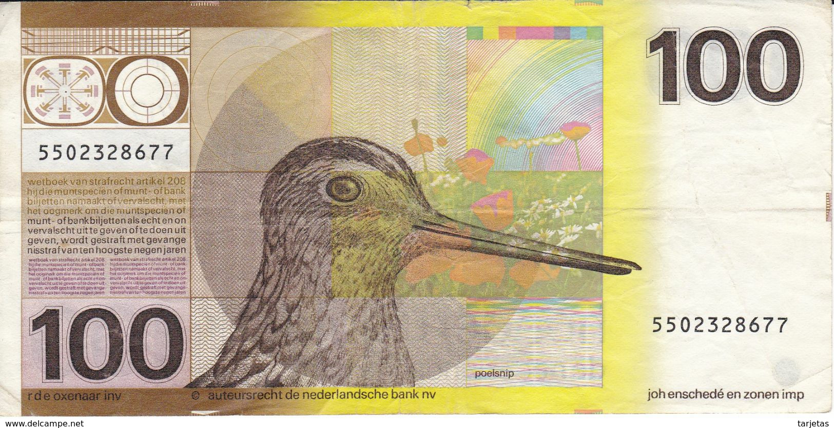 BILLETE DE HOLANDA DE 100 GULDEN DEL AÑO 1977  (BANKNOTE) PAJARO-BIRD - 100 Florín Holandés (gulden)