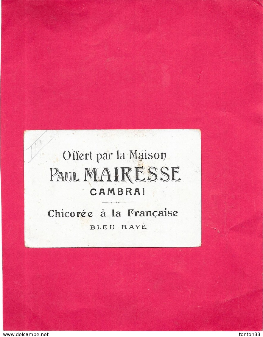 CHROMO CHICOREE A LA FRANCAISE  BLEU RAYE Paul MAIRESSE à CAMBRAI - Saint ANTOINE - BARA11 - - Tee & Kaffee