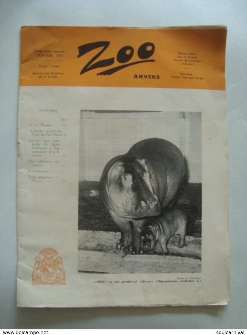 ZOO ANVERS (JANVIER 1955) - BELGIUM, BELGIQUE, ANTWERP, 1955 APROX. 92 PAGES. - Toeristische Brochures