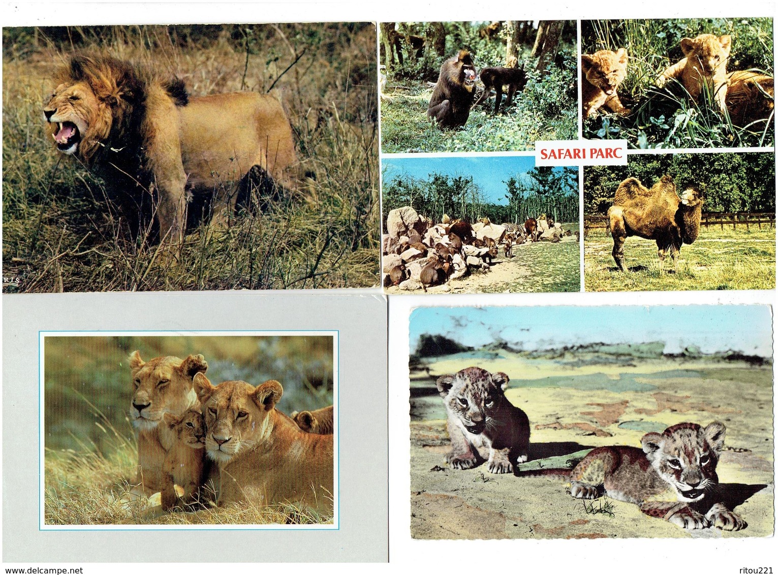 Lot 4 Cpm - LION LIONNE Safari Parc PEAUGRES Singe Lionceau Chameau Zèbre Faune Africaine Tanzania Erengeti Park - Lions