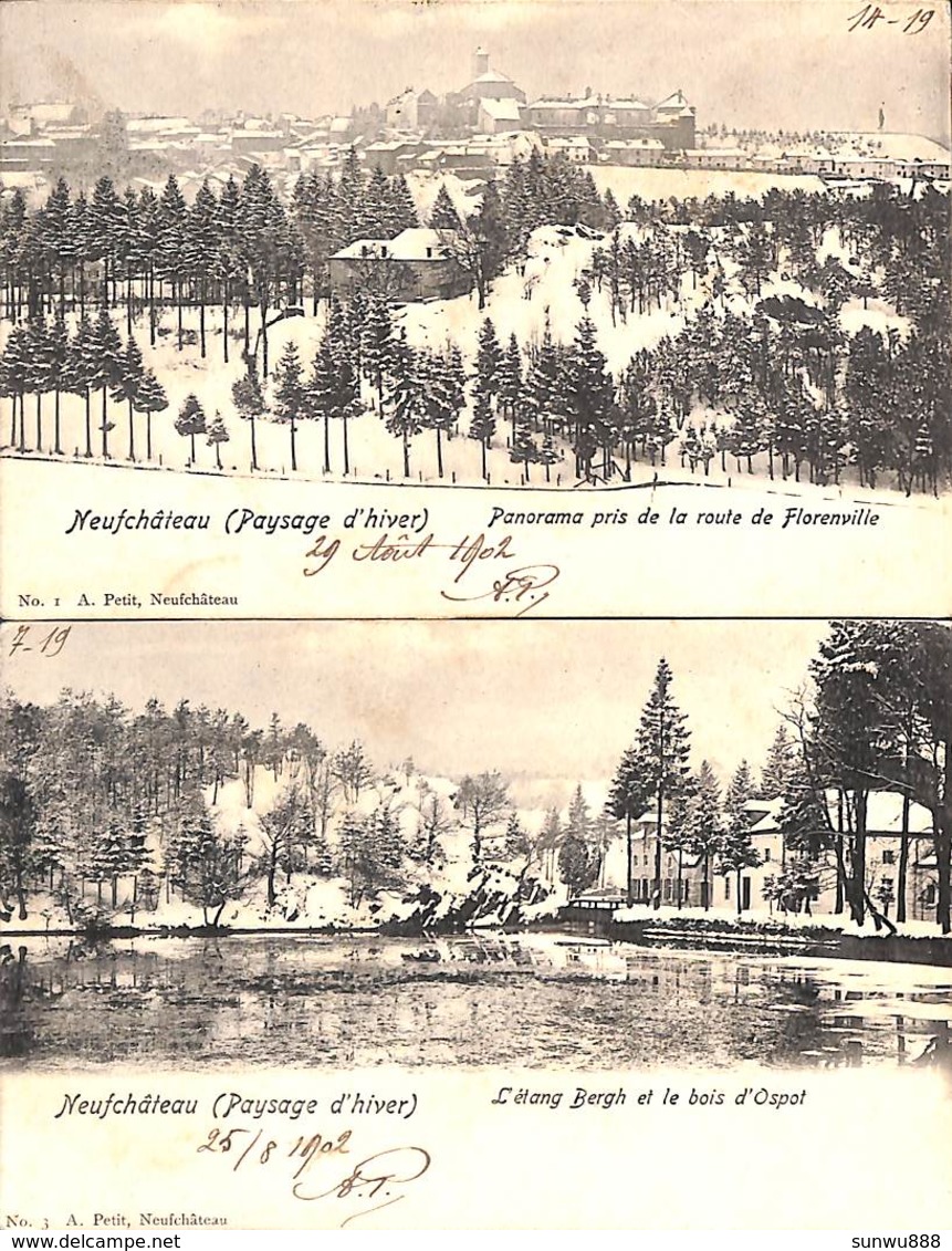 Neufchâteau (Paysage D'hiver) - Lot 2 Cartes (1902) - Neufchâteau