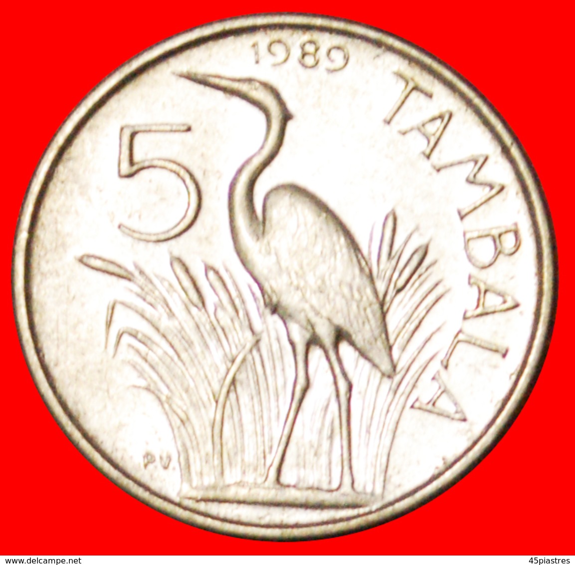 # BANDA (1898-1997): MALAWI ★ 5 TAMBALA 1989 MINT LUSTER! LOW START ★  NO RESERVE! - Malawi