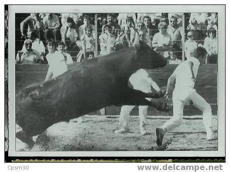 CAMARGUE - Lot 11E - Cartes Postales Noir Et Blanc - Mégot De Cuillé En Piste Sur Freddy Sol Dans Les Arènes De Grans 13 - Other & Unclassified