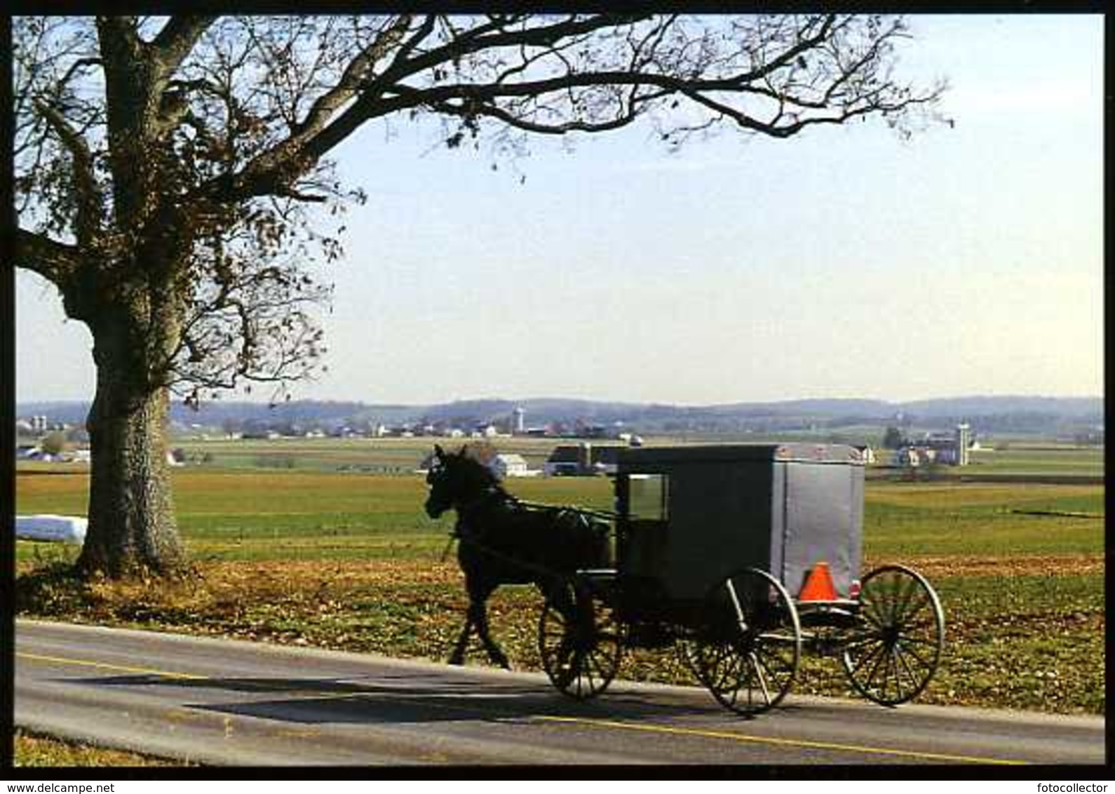 Amish Country : Amish Seasons - Lancaster