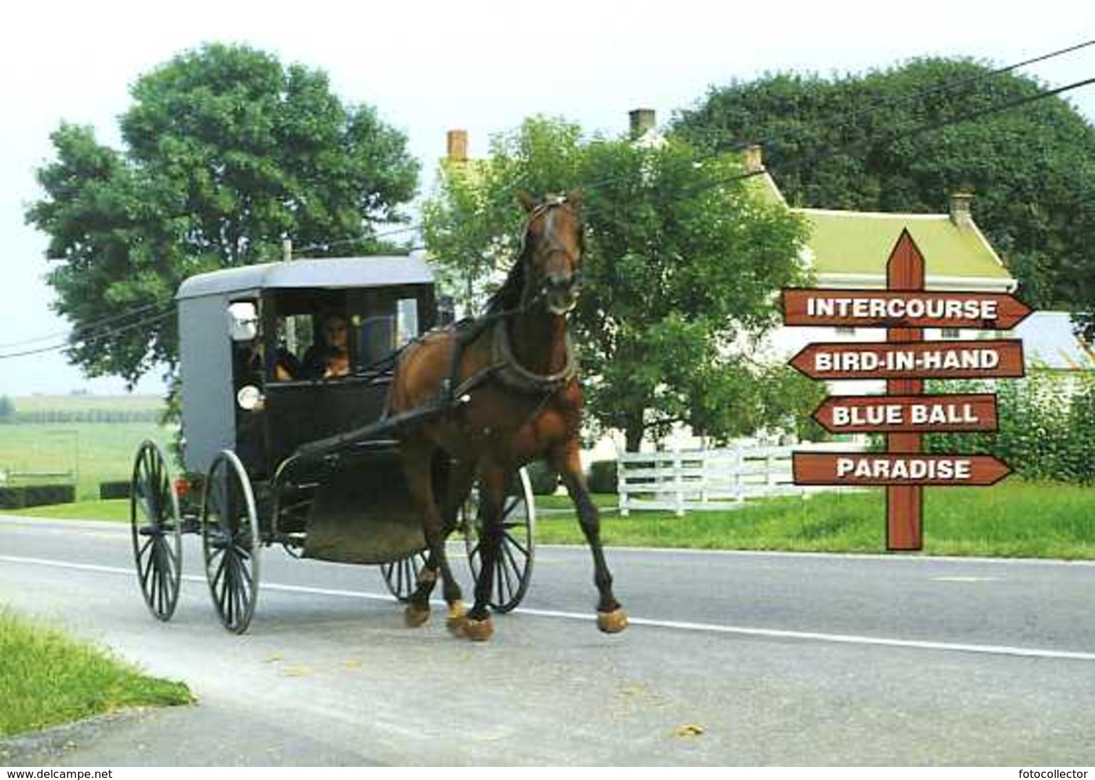 Amish Country : Amish Seasons Panneaux Indicateurs - Lancaster