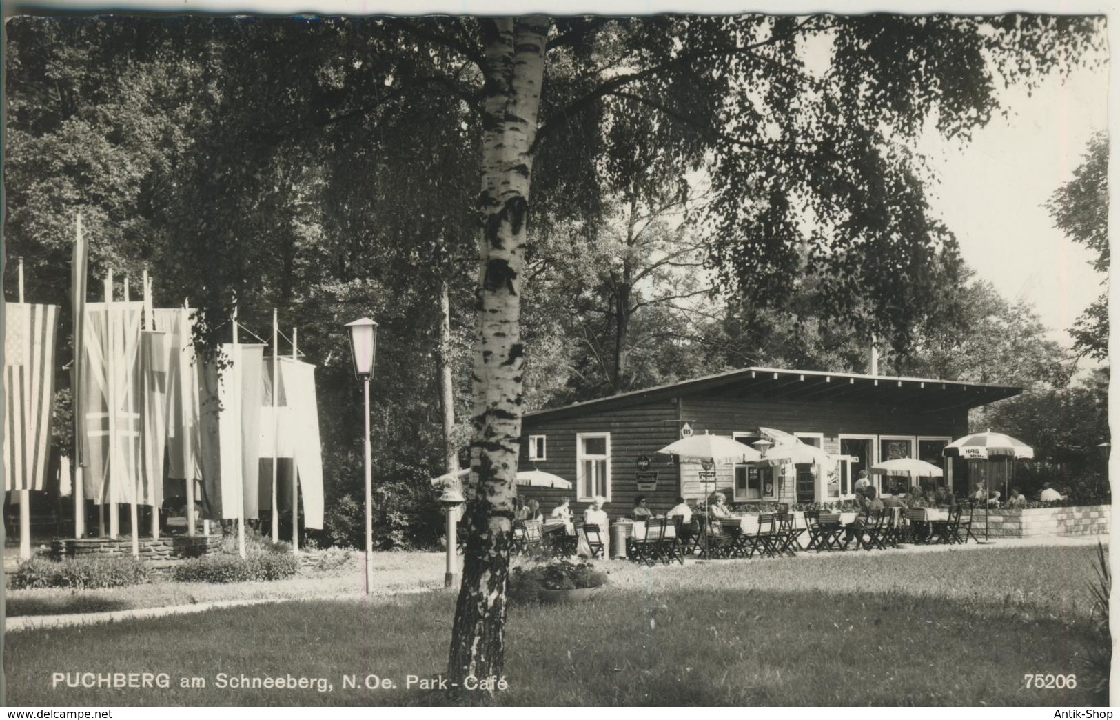 Puchberg Am Schneeberg V. 1966  Park-Cafe  (275) - Autres & Non Classés