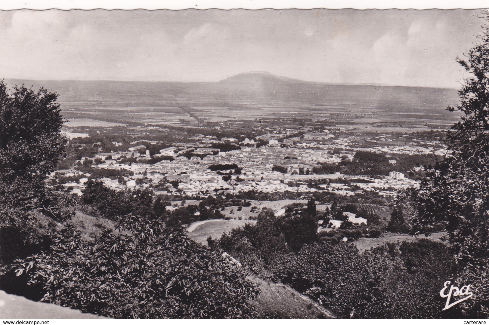 AFRIQUE,ALGERIE,BLIDA,EL BOULEIDA,ville Des Roses,pied De L'ATLAS TELLIEN,260m D'altitude,rare - Blida