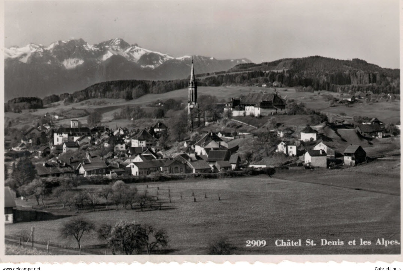 Châtel St. Denis Et Les Alpes - Châtel-Saint-Denis