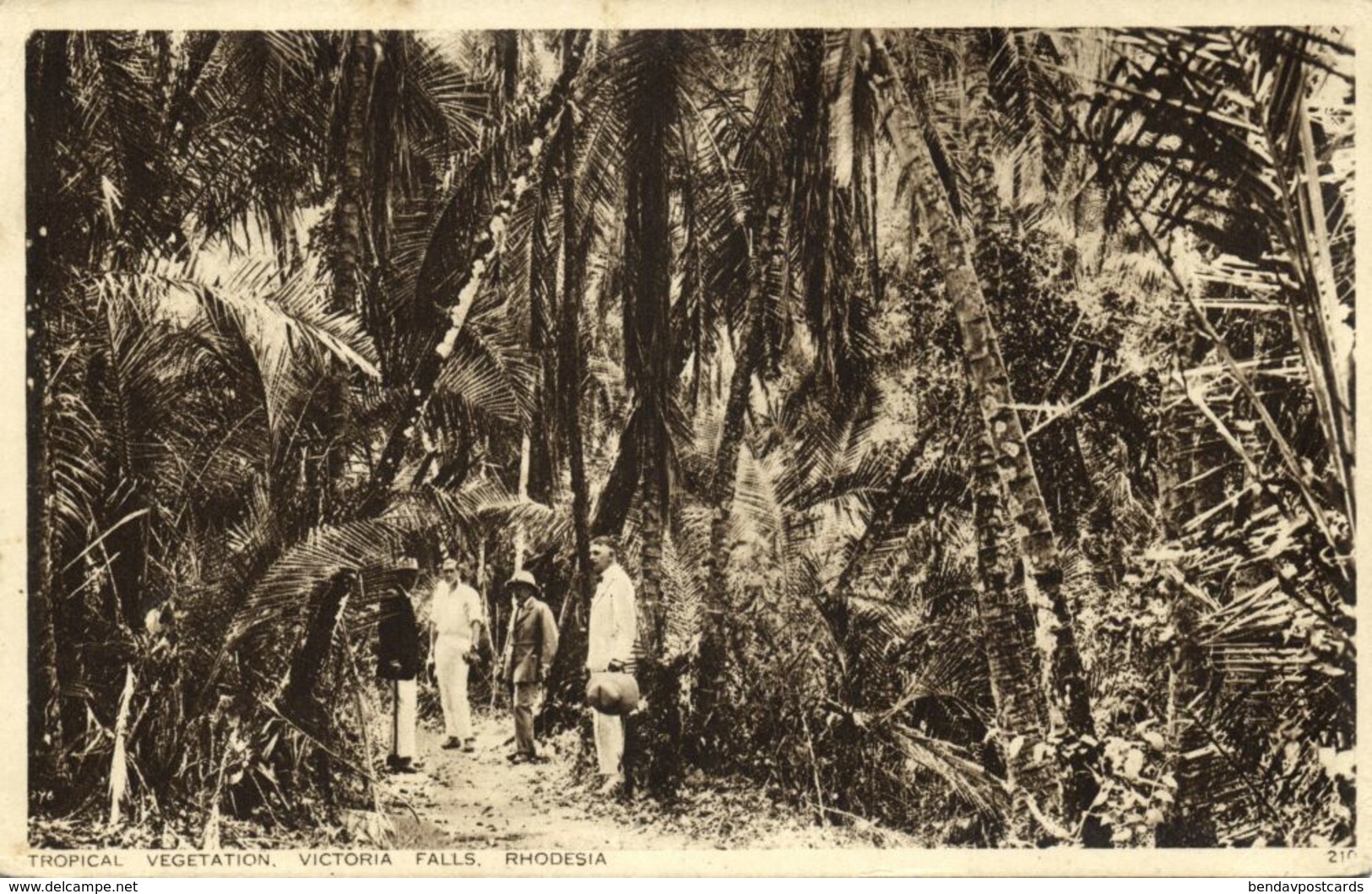 Rhodesia, VICTORIA FALLS, Tropical Vegetation (1936) Empire Exhibition Postcard - Zimbabwe