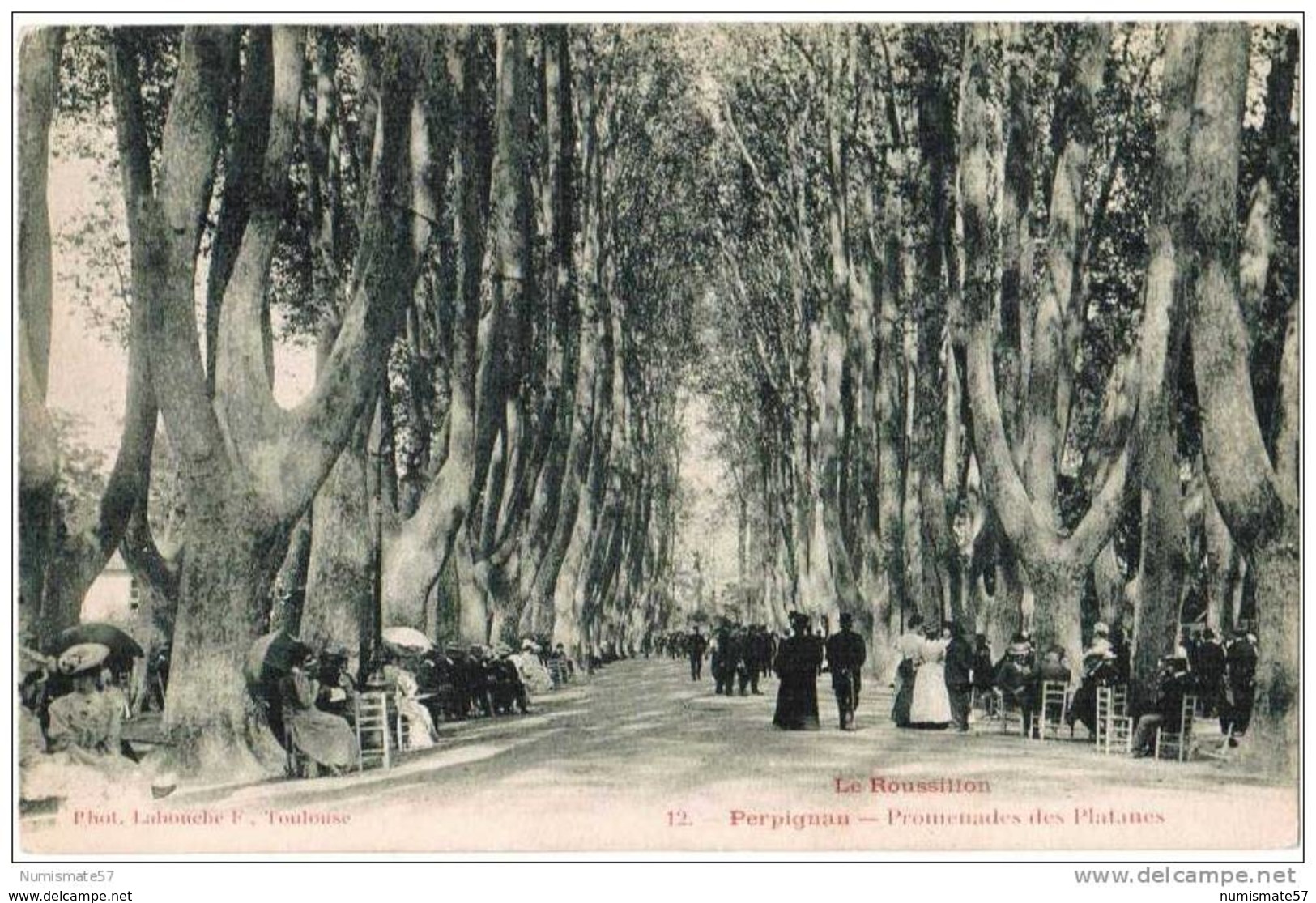 CPA PERPIGNAN - Promenades Des Platanes - Très Animée - Phot. Labouche F. N°12 - Perpignan