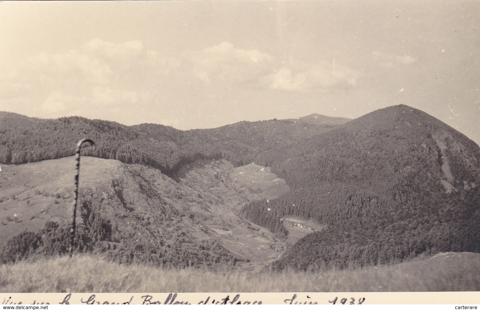 LE GRAND BALLON D'ALSACE EN JUIN 1938,88,VOSGES,VUE AERIENNE,CHAMP DE GENTIANE,FORET,PHOTO ANCIENNE,CANNE - Places