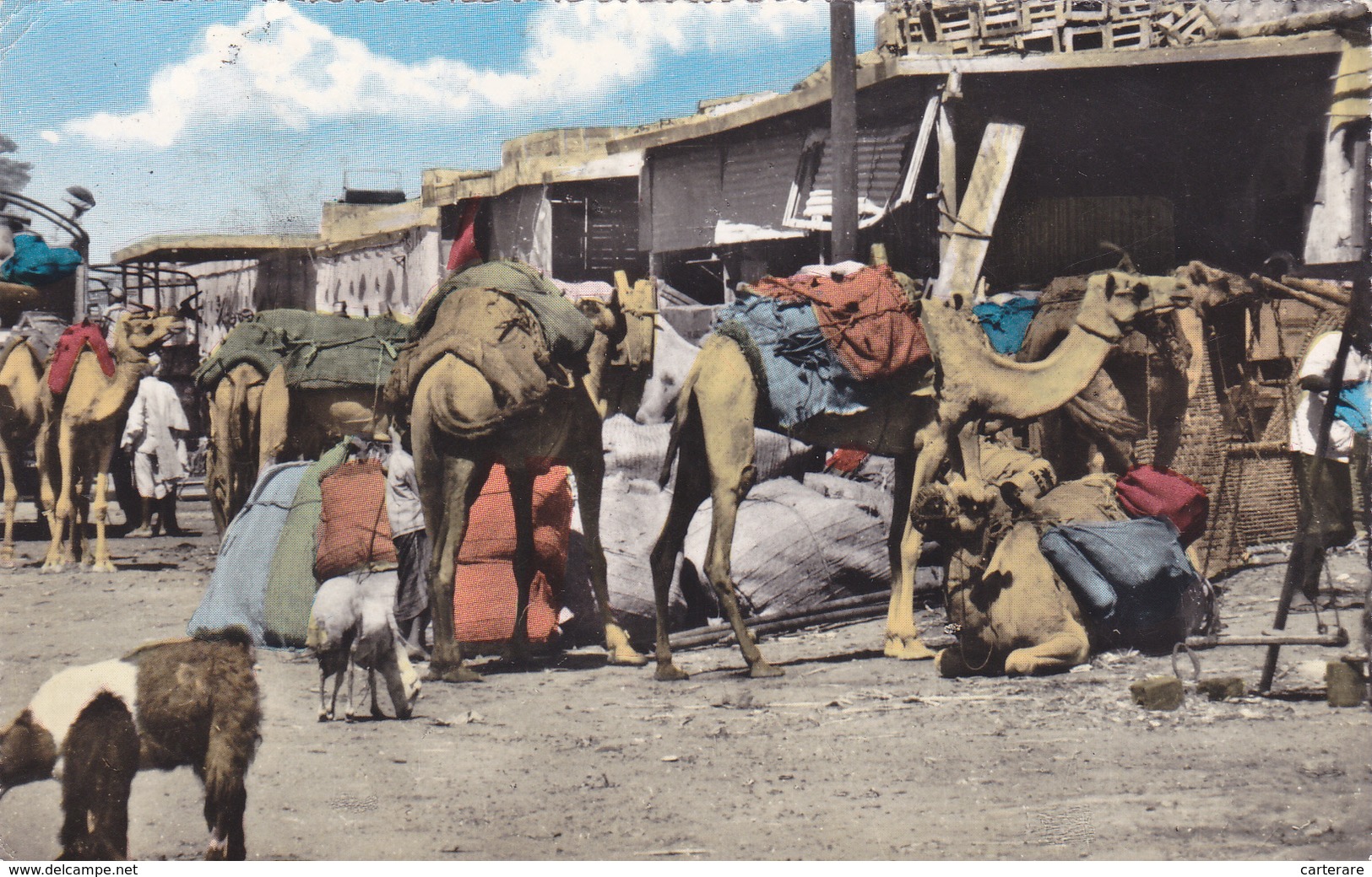 ASIE,ASIA,YEMEN,ADEN,ADAN ,EX SOMALIE BRITANNIQUE,SOMALILAND,PO RT,SITE  VOLCANIQUE,CAMELS,CHAMEAU ,CARAVANE,PORT,ELEVEU - Yémen